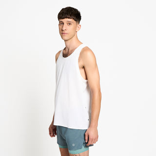 FSTSinglet - Ghost – on model