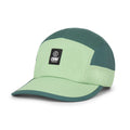 Pistachio/Silver Pine