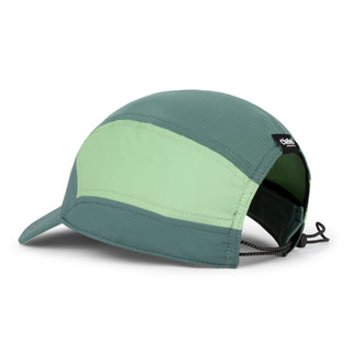 FSTCap SC - Classic - Cside - Silver Pine/Pistachio – back
