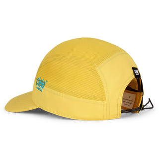 GOCap SC - Comp - WWM City - Chicago – back