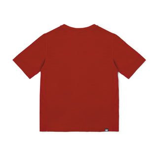 HLSTShirt - Clay – back